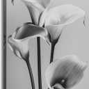 Black and White Flower Wall Art Calla Lily Picture Elegant Floral Canvas Prints Modern Painting Ready to Hang for Bathroom Living Room Bedroom Home Office Decor Framed(Flower-12,12.00"x18.00")