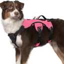 rabbitgoo Escape Proof Dog Harness, Soft Padded Full Body Pet Harness, Reflective Adjustable No Pull Vest with Lift Handle and Leash Clip for Large Dogs Walking Hiking Training, M, Pink (Medium (Pack of 1))