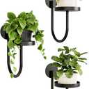 Bamworld Wall Plant Holder Wall Planters for Indoor Plants Plant Hanger Indoor Window Plant Shelves Hanging Plant Holder Window Plant Hanger Plant Decor Black 3pcs