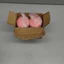 Amazon Basics Neoprene Dumbbell Hand Weights for Exercise and Muscle Toning