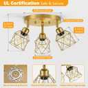 Baocuz 3-Light Brushed Gold Kitchen Light Fixtures, Modern Close to Ceiling Light with Metal Cage, Multi-Directional Gold Ceiling Lights for Farmhouse, Hallway, Dining Room, Entryway
