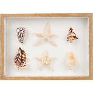 liomey Shell Ornament Christmas Decor 11.69" x 8.27" Coastal Wall Art Wooden Frame with Natural Conch Shells, Nautical Beach Home Decor, Ocean Themed Display for Living Room, Bedroom, Office(Two Large Starfish)
