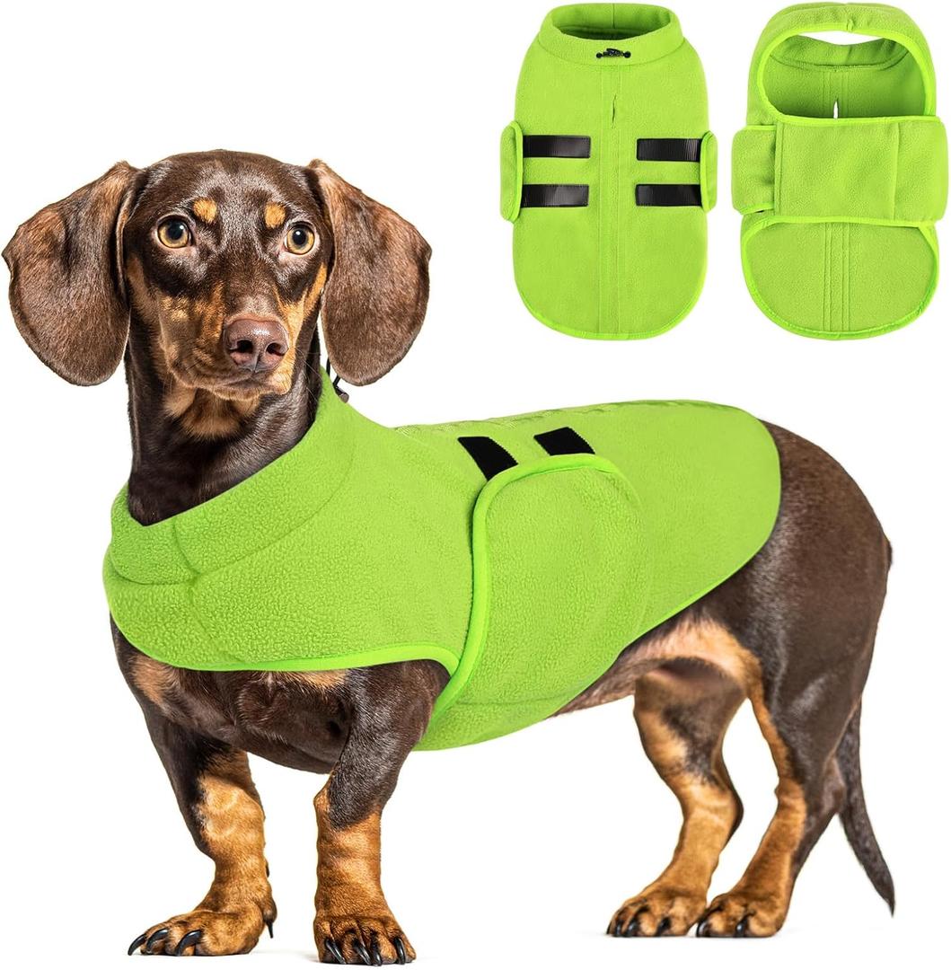 Queenmore Soft Fleece Dog Jacket, Warm Winter Dog Clothes with Leash Hole, Dachshund Sweater for Small Dogs Cats Boy or Girl (Green, S)