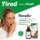 SALUS Floradix Liquid Iron Formula 500 Milliliter (EXP 03/05/27)