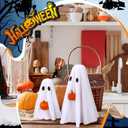 2 x Amyhill 2 Pcs Halloween Ghost Decor Indoor, Spooky Halloween Decorations with Pumpkin Ghost Table Decor for Home Table Centerpiece Shelves Mantel Kitchen Office Fireplace Party (White)