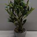 Artificial Olive Tree 18" Tall Small Faux Fake Potted Plant Medium Olive Branches and Fruits Realistic Mini Tree for Tabletop Home Office Living Room Decor Indoor (Olive)