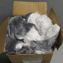 Bedsure GentleSoft Sherpa Fleece Throw Blanket for Couch  Thick & Cozy Christmas Blanket for Winter, Non-Heated, Soft Fuzzy Plush Throw Gifts for Women and Men, Grey, 50x60 Inches