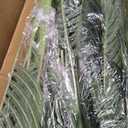 6ft Tall Triple Golden Cane Palm Artificial Tree Large Tropical Palm Tree UV Resistant Fake Plant in Pot for Indoor Outdoor Big House Living Room Outside Patio Office Home Decor (Set of 2)
