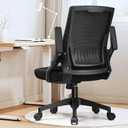GTPLAYER Ergonomic Office Chair with Flip-up Armrests Executive Computer Chair for Home Office, Breathable Mesh & Comfy Lumbar Support, Black (Large)