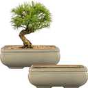 Ceramic Bonsai Pots with Drainage Hole, Set of 2 Rectangular Glazed Bonsai Planters for Indoor/Outdoor Use, Shallow Brown Bonzai Tree Pots for Succulent, Orchids, Cacti, Home, Patio, Garden, 8.7"x5.9"