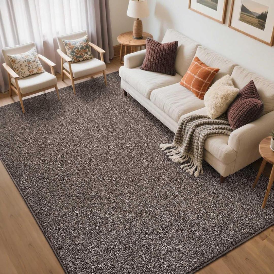 FinRec Low Pile 5x7 Washable Area Rugs for Bedroom Living Room, Thin Rug Solid Color, Non-Slip Carpet Indoor for Home Decor (Brown/White)