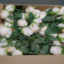 Hotop 80 Pcs Rose Artificial Flowers Bulk with Long Stem, Silk Roses Realistic Fake Flowers Bouquet for Wedding Table Centerpieces Bridal Shower Party Home Decorations(Beige)