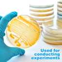 SHINEOFI 10pcs Nutrient Agar Petri Dishes, 7cm Pre-Poured Agar Plates for Laboratory Use School Projects and Research Science Experiment Prepoured Supplies