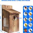 Natural Wood Birdhouse for Outside, Wooden Nesting Box with Circular Entrance Hole and Perch Blue Bird Houses for Outdoors with Clear View Panel & Predator Guard for Blue Robin, Wren, Swallow