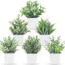 Der Rose Pack of 6 Fake Plants Small Artificial Plants Faux Plants Indoor for Home Bathroom Bedroom Living Room Classroom Decor (Grey)