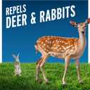Liquid Fence Deer And Rabbit Repellent Ready-To-Use, Apply Year-Round, 1 Gallon