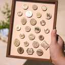 24 Slot Wax Seal Stamp Head Storage Box, Wood See-Through Embossing Letters Alphabet Display-Walnut