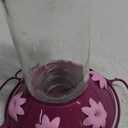 Perky-Pet 209BW Glass Hummingbird Feeders for Outdoors Hanging - 30 oz - Ant & Bee Guarded Royal Berry Bird Feeder