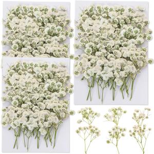 90Pcs Mini Dried Pressed Baby's Breath Flowers Bulk - Natural Flat Real White Gypsophila Baby Breath, Pressed Flowers for Resin, Frame Art, Scrapbooking, Wedding Invitation