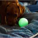 CHUCKIT Max Glow Balls, Small