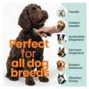 Rake Brush for Dogs, Dematting Tool for Goldendoodles, Poodles & Doodles Rescue Essential with Long Smooth-Edged Teeth for Thick Coats, Deshedding & Mat Remover Skip the Groomer