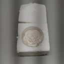 Passive Diffuser for Essential Oil-Ceramic Diffuser Non Electric Oil Diffusers for Small Mini Room, Desk Decorative, Bathroom (White Hibiscus)