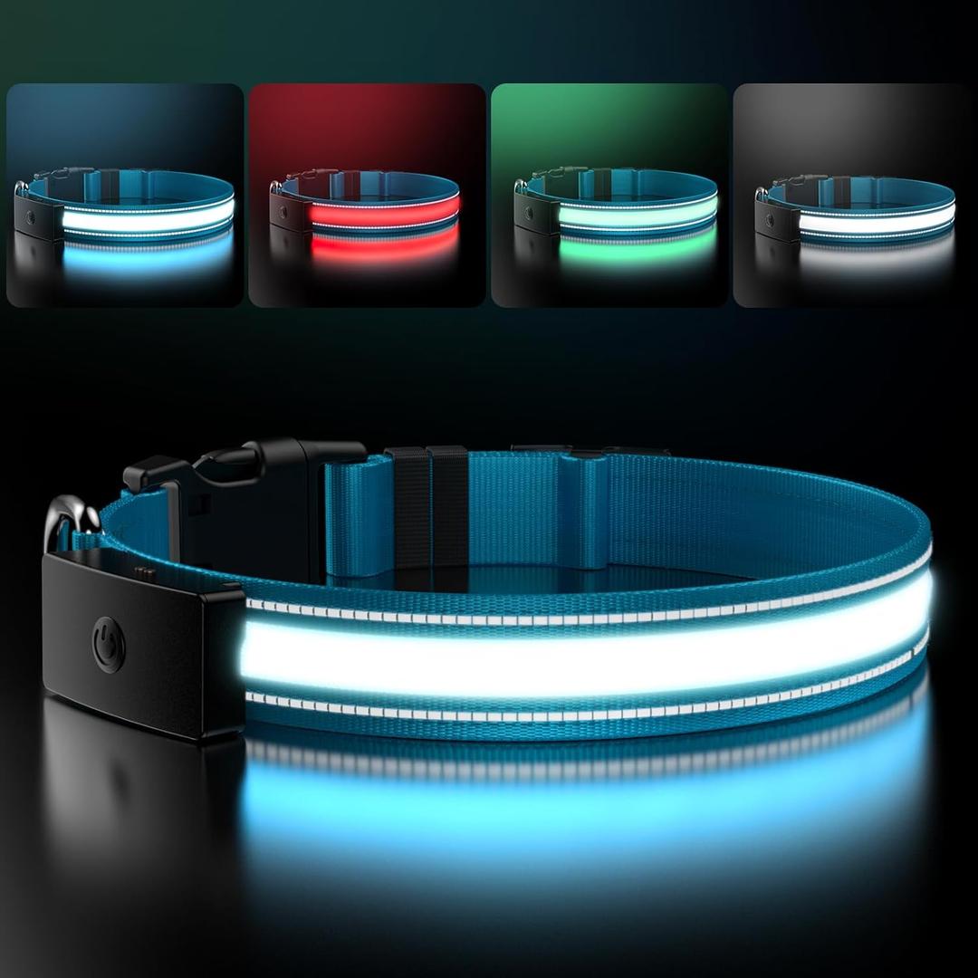 LED Dog Collar Rechargeable- Brightest Light Up Dog Collars - 1,600 Feet of High Visibility - Magnetic Charging - Glow in Dark Dog Lights for Night Walking, Blue (L, 15-20in)