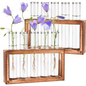 2pcs Desktop Glass Plant Propagation Station with 10 Test Tubes in Wooden Stand - Hydroponic Plants Cutting Office Home Decoration and Garden Decor Terrarium (10 Tubes)
