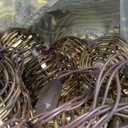 Vigdur Patio String Lights Outdoor, Brown Globe Lantern String Lights with 10 Bulbs Plug in, Connectable Indoor String Light for Home Garden Backyard Boho Decor(9.84FT)