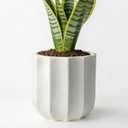 10 Inch Plant Pot Ceramic Planter with Drainage Hole & Removable Drain Plug, Decorative Flower Pot for Indoor Outdoor Plants, Modern Round Large Planter, Cream White