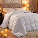 Comforter Duvet Insert, Quilted Comforter with Corner Tabs, Box Stitched Down Alternative Comforters Queen Size (White)