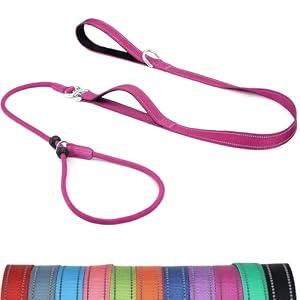 Erbine 6FT Slip Lead Dog Leash with Double Padded Handle, Anti-Tangle Slip Leads for Dogs, Reflective Nylon No-Pull Training Leash for Medium Dogs, Hot Pink