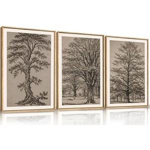 HOURIA Vintage Tree Sketch Framed Canvas Wall Art Set,Natural Brown and Gray Woodland Wall Decor,Mid Century Nature Forest Artwork,Textured Botanical Art Print for Living Room,Bedroom,Office-16"x24" x3