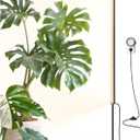 Barrina T1S Standing Grow Light for Indoor Plants with Timer, 65W 660nm High PPFD Full Spectrum, Tera Series Vertical Grow Lights Adjustable Height 5FT-5.6FT, Foot Switch, Non-Glare Design, Black