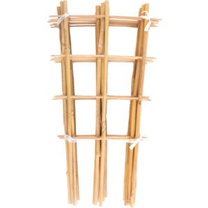 Avalution 10 Pack Bamboo Trellis for Climbing Plants, 4 FT Garden Ladder Trellis for Potted Plants Indoor, Fan-Shaped Small Plant Support Trellis for Houseplants Ivy Hoya Vine Monstera