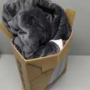 LaffyLo Electric Heated Blanket Full Size 72" x 84", Dual-Sided Flannel Sherpa, LCD Display 10 Heat Levels 1-12H Auto-Off, ETL Certified Machine Washable for Bed & Couch, Dark Grey