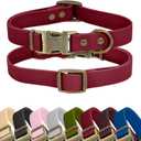 Wisedog Rubber Dog Collar for  Dogs - Waterproof Dog Collar with Quick Release Metal Buckle Easy to Clean Puppy Collar for Outdoor Use, Burgundy(S:10"-14")