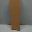 N&T NIETING 24inch Christmas Norfolk Pine Branches Norfolk Pine Artificial Christmas Branches Real Touch Faux Christmas Norfolk Pine Stems for Xmas Indoor Outdoor Home Decor DIY Crafts (10Pcs)