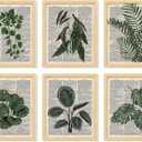 97 Decor Green Wall Art Prints - Plant Pictures Wall Art, Vintage Botanical Prints, Plant Poster For Room Aesthetic, Book Pages Dictionary Art Dark Green Wall Decor For Bedroom Home (8x10 Unframed)