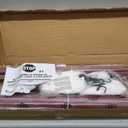 EZGoal Hockey Backstop, Red/White, 10' x 6'