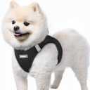rabbitgoo Small Dog Harness, Step-in Soft Mesh Puppy Vest with Safety Buckle, Breathable Reflective Pet Harness for Small Sized Dogs, Black S