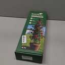 Obelisk Trellis for Climbing Plants Outdoor,6 Ft Garden Trellis for Potted Plants, Metal Trellis with Anti-Rust Coated for Potted Plants Indoor, Plant Support for Vegetables, Vines (Black)