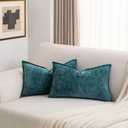 FUTEI Teal Chenille Throw Pillow Covers 12x20 Inch Set of 2,Soft Velvet Lumbar Pillow Cases,Home Decor for Couch Bed Living Room