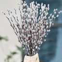 Oning 30 Stems Real Dried Pussywillow Preserved Greenery Branches for Vase- Natural Pussywillows with White Flowers, 16''-17'' Snow Willow Branches for Easter Wedding Home Party Hotel Fireplace Decor