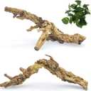 VCEPJH 2 Pack Reptile Wood Branches, Snake Climbing Branch Natural Bearded Dragon Log Tank Accessories Tree Trunk for Chameleon Gecko Snake Frog Spider