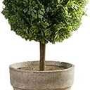 YUANstore Erythrina sea Mini Potted Artificial plant Bonsai set fake Flower vase Decorative Flower Home Balcony Decoration