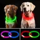 2 Pack Light Up Dog Collar, USB Rechargeable Dog Collar Light for Night Walking, Led Lighted Dog Collar, Glow in The Dark Dog Collar for Small Medium Large Dogs (Red+Green)