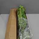 Dkaltm Artificial Boston Fern Bush- Set of 2 Large Artificial Ferns for Outdoors, 45Inch Large Faux Ferns, Suitable for Office & Living Room Decor, 55Branches for Each Bouquet