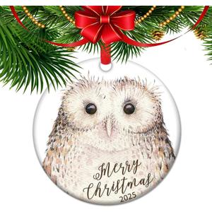 Wise Winter Owl Ornament, Owl Lover Gifts, Nature Lover Gift, Woodland Animals, Forestcore Ceramic Xmas Decoration (C19)