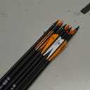 TIGER ARCHERY 30Inch Carbon Arrow Practice Hunting Arrows with Removable Tips for Compound & Recurve Bow(Pack of 12)